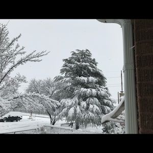 Meet your Posher, LeAnne